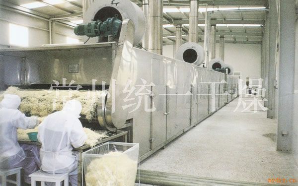 槟榔带式干燥设备,网带干燥机,干燥设备,烘干设备(中国 江苏 常州