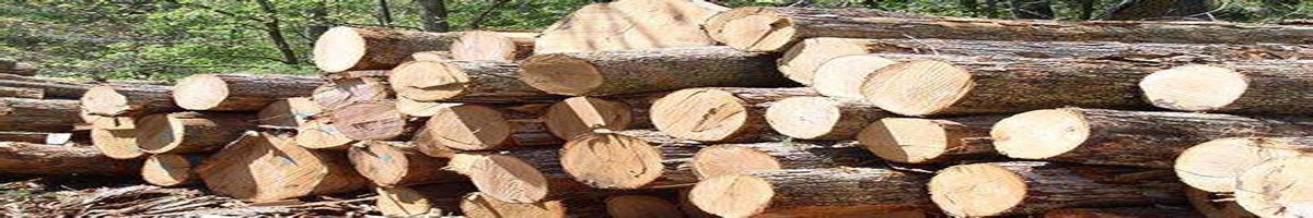木材木屑