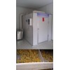 新型金银花烘干设备，热泵烘干机  长期供应