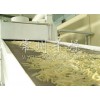 竹笋专用带式干燥机专业生产